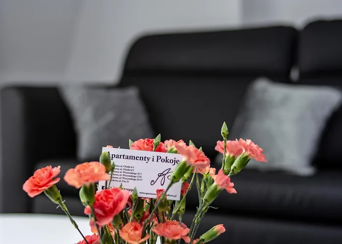 Ap 17 Lägenhet Częstochowa